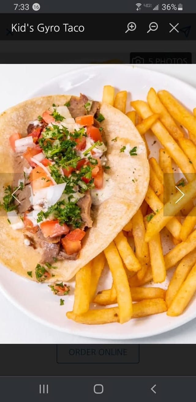 Gyro Taco.